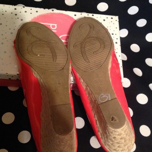 Coral Wedges 11! - Picture 5 of 5